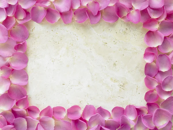 Rose Petals Billedramme – stockfoto