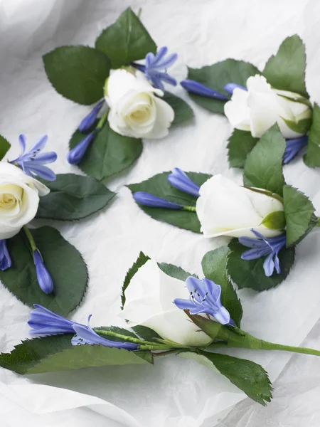 Box Filled White Rose Corsages — Stock Photo, Image