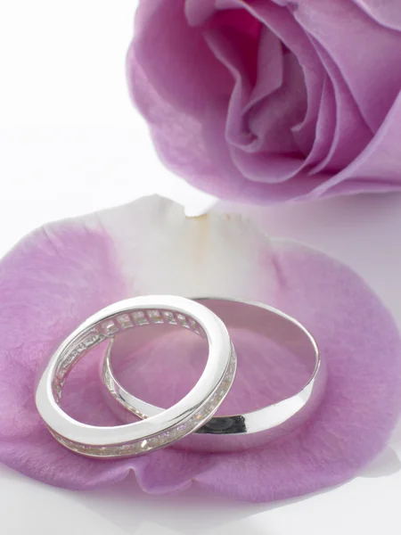 バラの花びらで休んでシルバー結婚指輪 — ストック写真