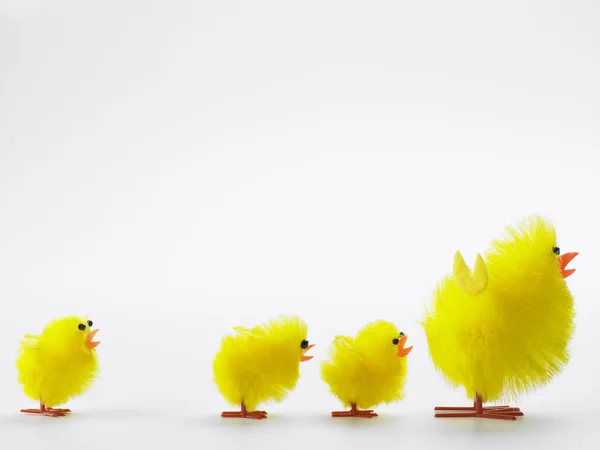 Familj Påsk Kycklingar — Stockfoto