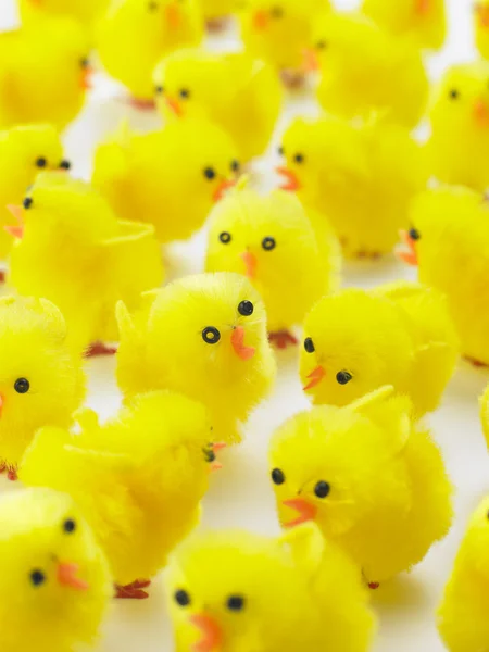 Abundance Easter Chicks — Stock Photo, Image