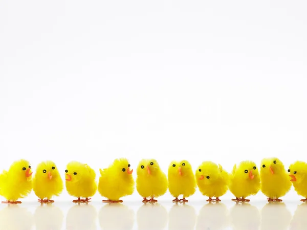 Easter Chicks Row — Stock Photo, Image