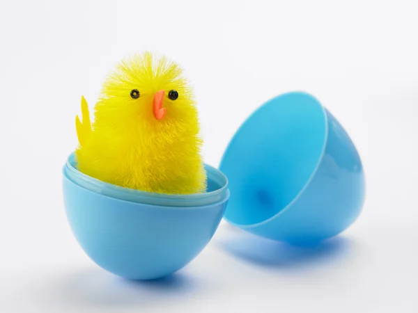 Pasqua pollastrella cappello fuori di uovo — Foto Stock
