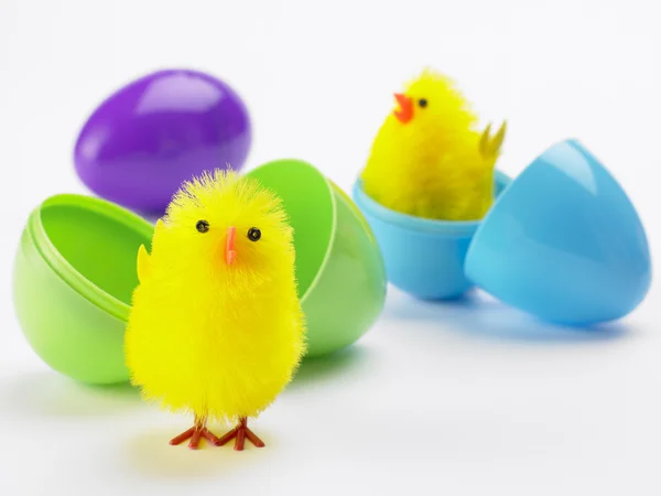 Easter Chicks Hatching Out Eggs — Stock Photo, Image