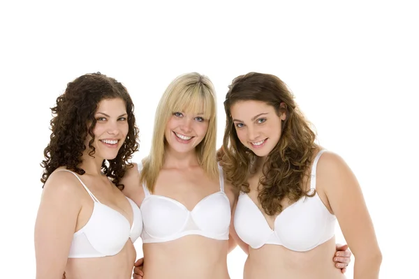 Portrait of Women in Their Underwear Stock Image - Image of cheerful,  happy: 9002611