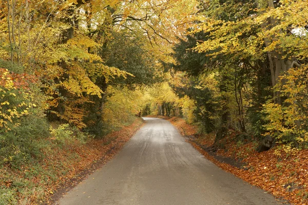 Landsväg Hösten — Stockfoto