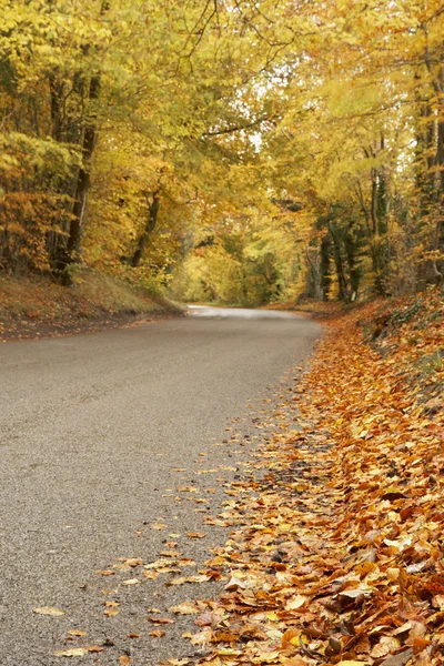 Landsväg på hösten — Stockfoto