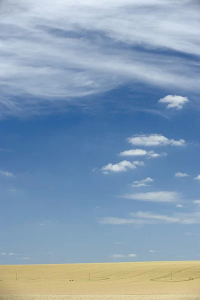 Mavi Bir Gökyüzü Altında Kuru Mera — Stok fotoğraf