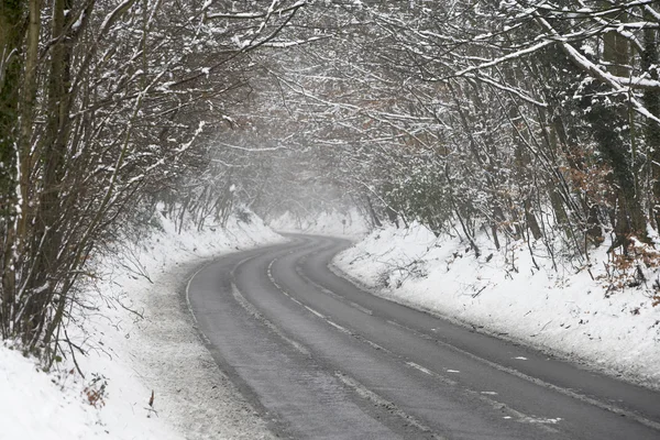Επαρχιακό Δρόμο Επένδυση Χιόνι Και Σκελετικών Δέντρα — Φωτογραφία Αρχείου