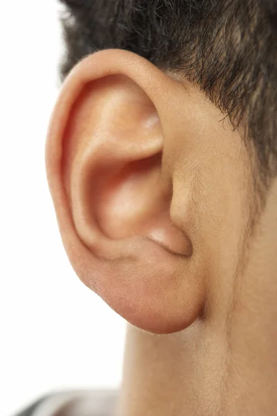 Close Young Boy Ear — стоковое фото