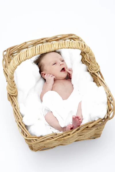 Bebé Recién Nacido Cesta —  Fotos de Stock