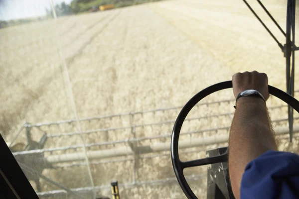 Combineer de oogstmachine die in het veld werkt — Stockfoto