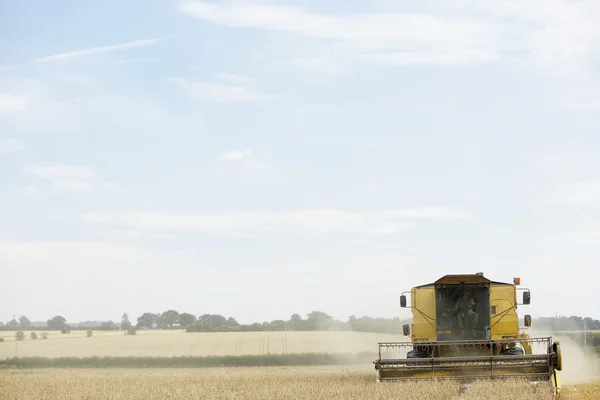 Combinar colheitadeira trabalhando no campo — Fotografia de Stock