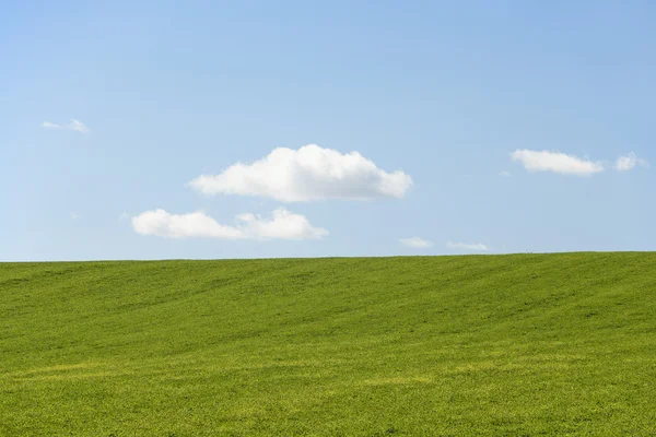 蓝蓝的天空的农场字段 — 图库照片