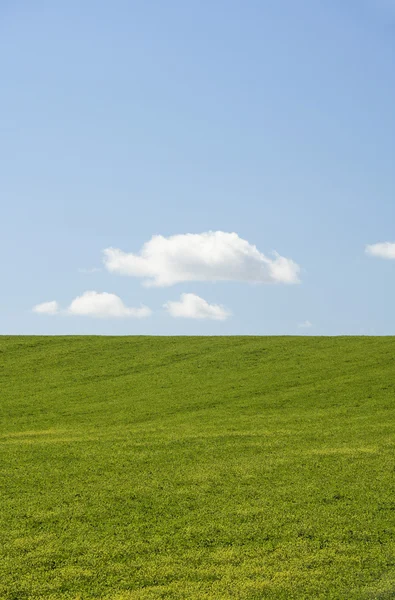 Gård fältet med blå himmel — Stockfoto