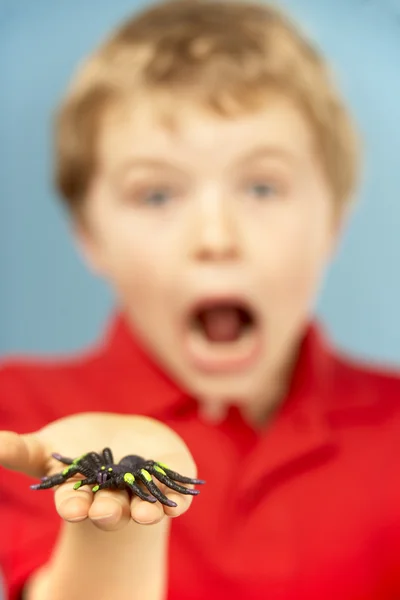 Young Boy Holding Plastic Spider — Stock Photo, Image