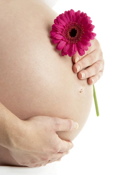 Pembe gerbera çiçek tutan hamile kadın — Stok fotoğraf