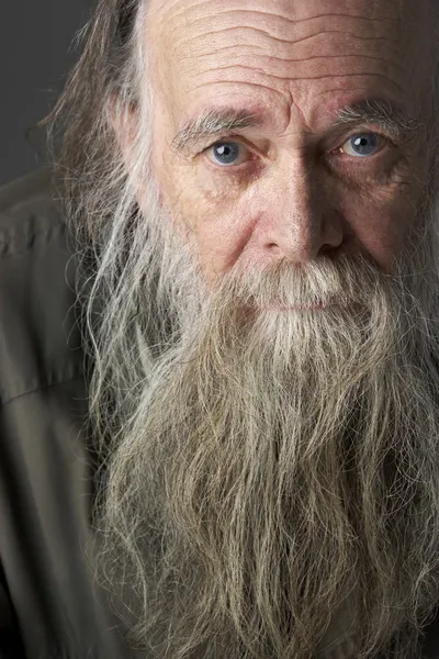 Senior Man With Long Beard — Stock Photo, Image