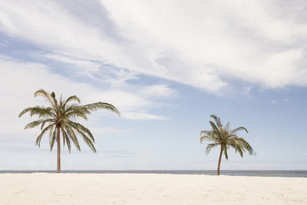 Spiaggia Tropicale Sabbia Bianca — Foto Stock