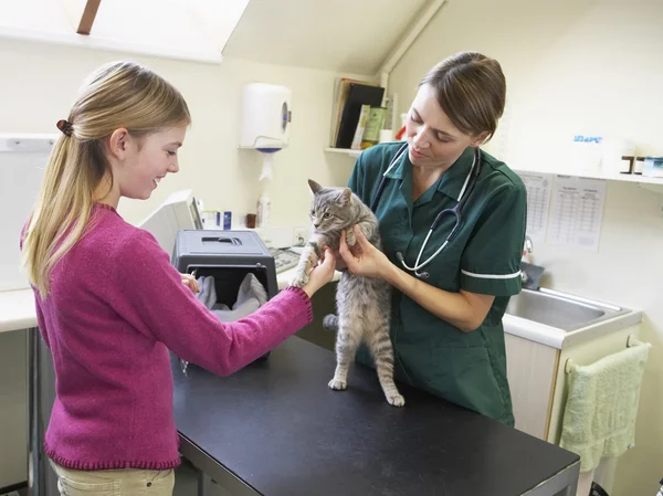 Jeune fille apportant chat pour examen par vétérinaire — Photo