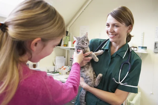 Ung Flicka Föra Katt För Undersökning Veterinär — Stockfoto