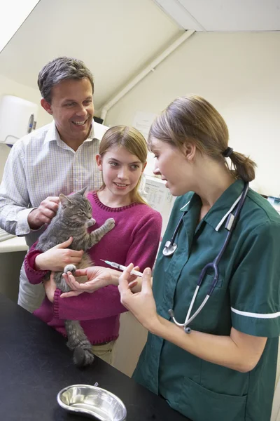 Κορίτσι Και Πατέρας Λαμβάνοντας Γάτα Για Εξέταση Από Κτηνίατρο — Φωτογραφία Αρχείου