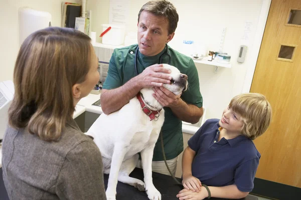 Menino e mãe levando cão para exame pelo veterinário — Fotografia de Stock