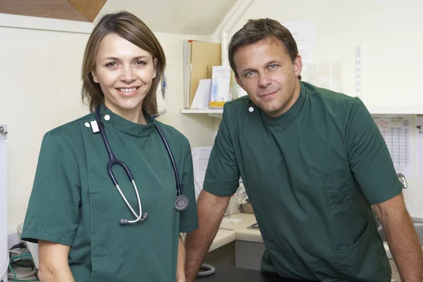 Portrait Of Male And Female Vets In Surgery — Stock Photo, Image