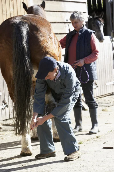 Dyrlæge Diskussion Med Hesteejer - Stock-foto