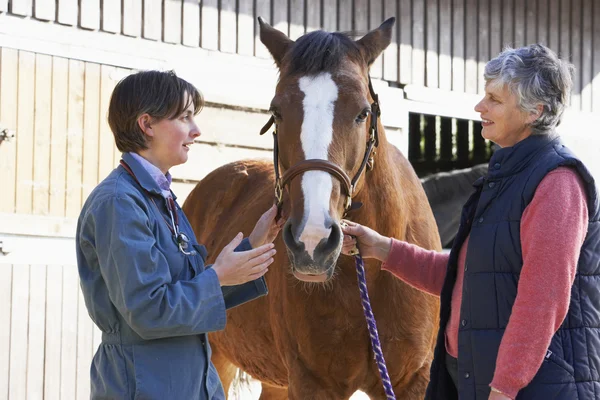 Weterynarza w dyskusji z właścicielem konia — Zdjęcie stockowe