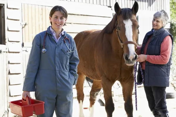 Tierarzt Gespräch Mit Pferdebesitzer — Stockfoto
