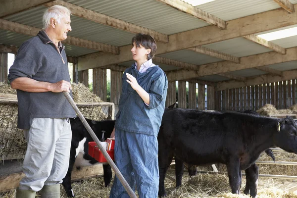 Фермер беседует с ветеринаром — стоковое фото