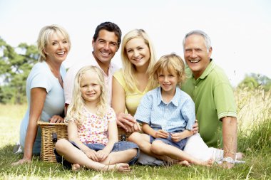 Family having picnic in countryside clipart
