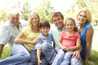 Extended Group Portrait Of Family Enjoying Day In Park clipart