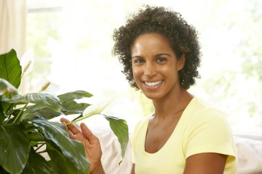 Woman Looking After Houseplant clipart