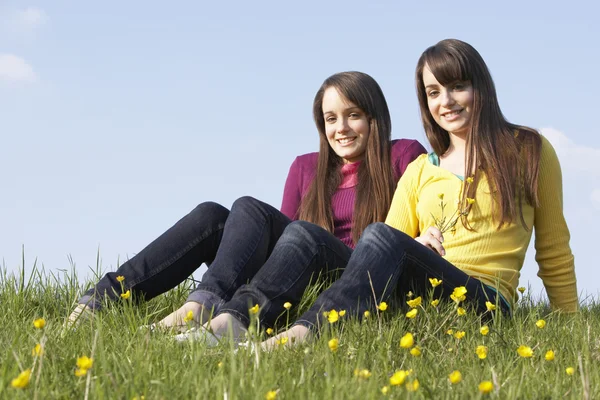 Gemelas adolescentes sentadas en el prado de verano —  Fotos de Stock