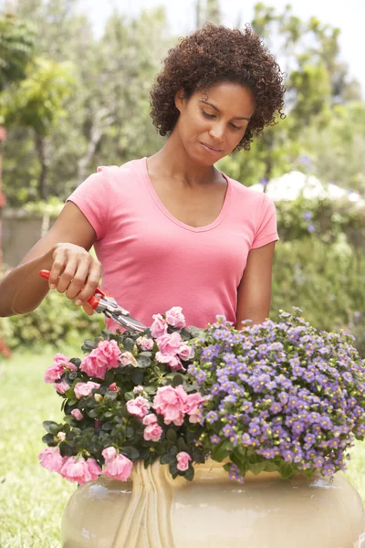Young Woman Gardening — Stock Photo, Image