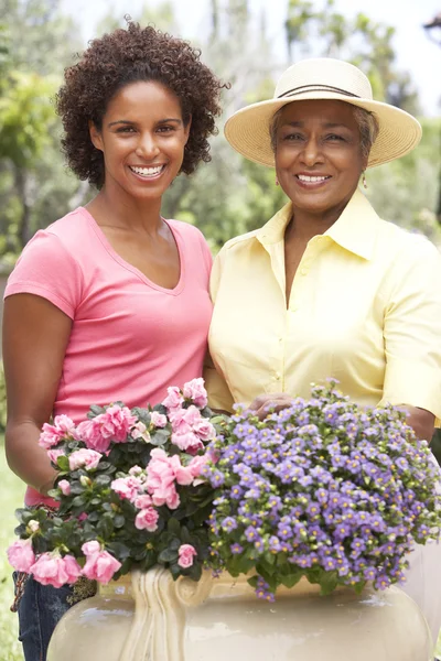 Vezető Felnőtt Lányával Együtt Kertészet — Stock Fotó