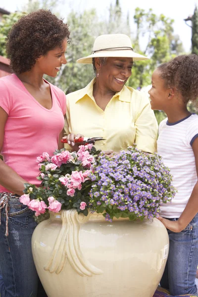 Mulher Sênior Com Filha Adulta Jardinagem Juntos — Fotografia de Stock