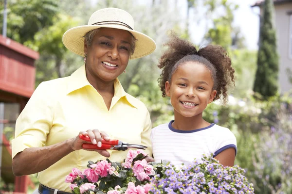 Abuela con nieta jardinería juntos —  Fotos de Stock