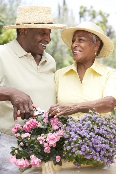 Senior koppel samen tuinieren — Stockfoto