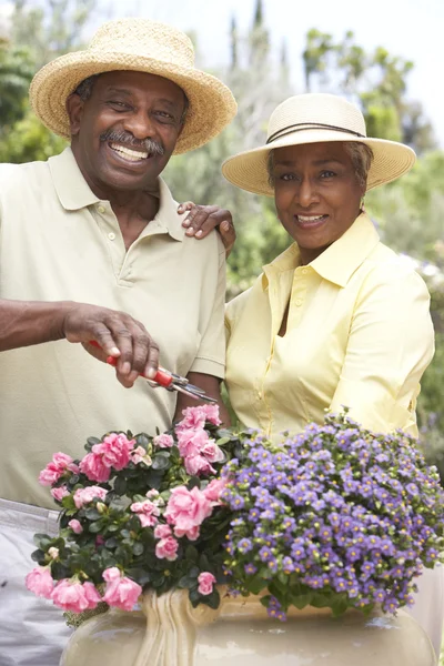 Senior Couple Gardening Together — Stock Photo, Image