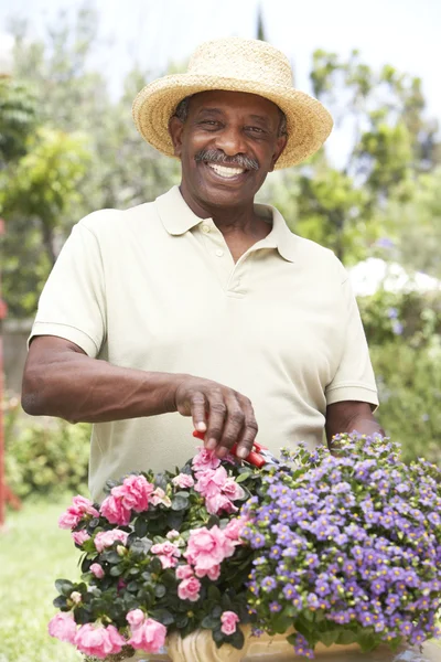 Senior man tuinieren — Stockfoto