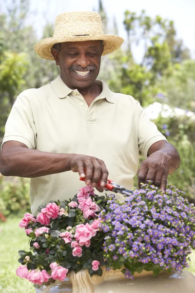 Uomo Anziano Giardinaggio — Foto Stock