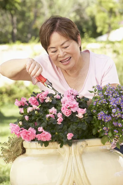 Mulher Sênior Jardinagem — Fotografia de Stock
