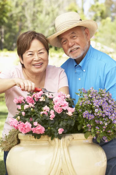 Äldre par trädgårdsskötsel tillsammans — Stockfoto