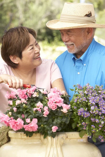 Senior Couple Gardening Together — Stock Photo, Image