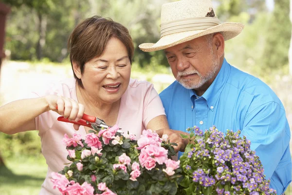 Senior koppel samen tuinieren — Stockfoto