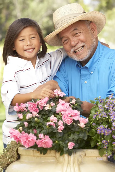 Grand-père et petit-fils jardinage ensemble — Photo