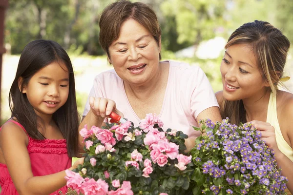 Nieta con la abuela y la madre jardinería juntos — Foto de Stock